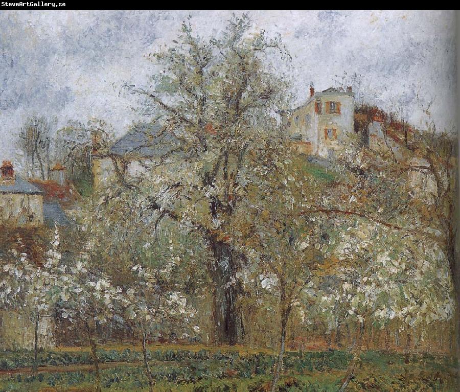 Camille Pissarro spring flowering gardens and trees